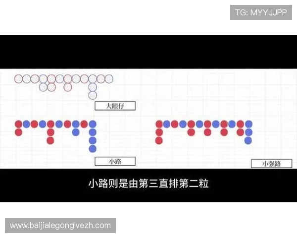 掌握百家乐大眼仔小强路的走势变化，助你制定科学的投注计划